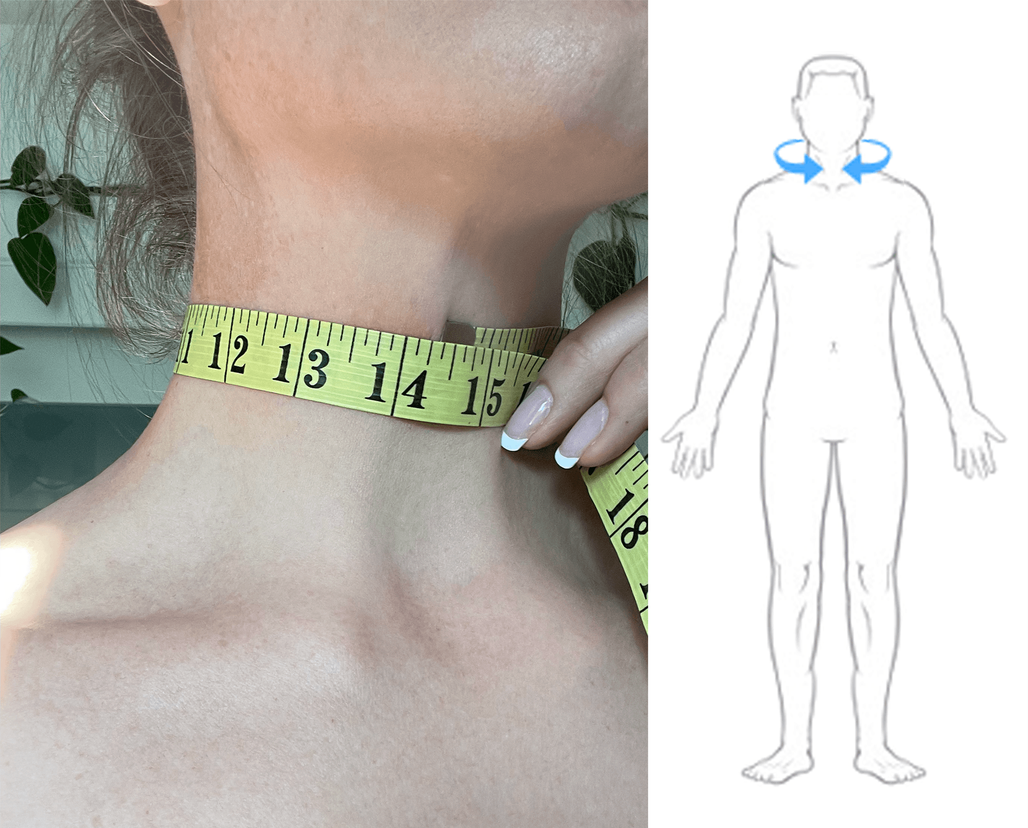 Neck Circumference Measurement