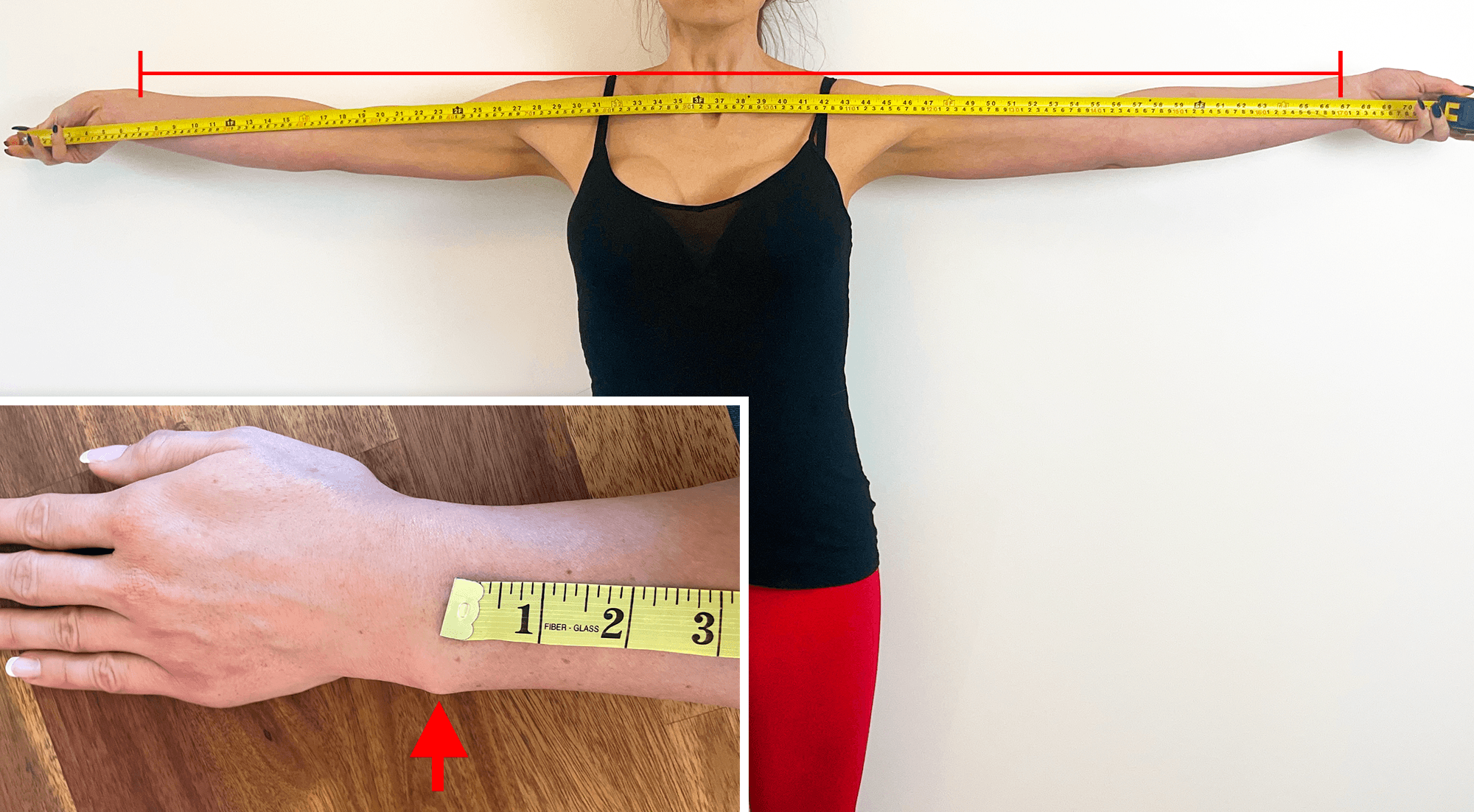 Wingspan measurement and wristbone location